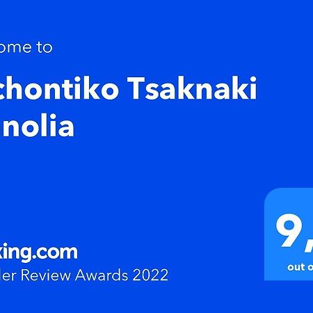 Hotel Archontiko Tsaknaki Manolia Áno Lekhónia Exteriér fotografie